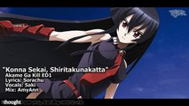 Akame Ga kill ending song (English Version)