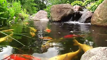 Aquascapes Step-by-Step Waterfall Construction_2