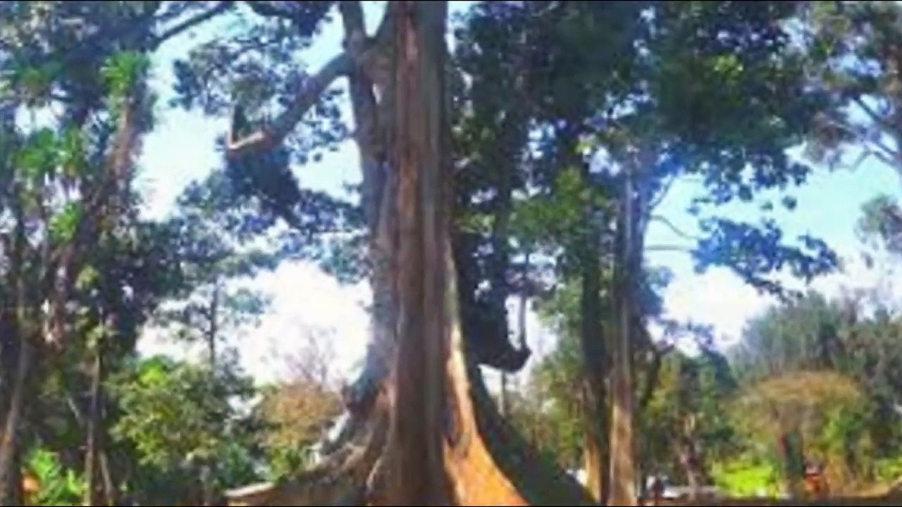 Lost Love Spell caster +27784445164, marriage spells, Bring back lost lover, stop divorce