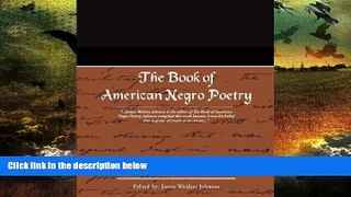 behold  The Book of American Negro Poetry