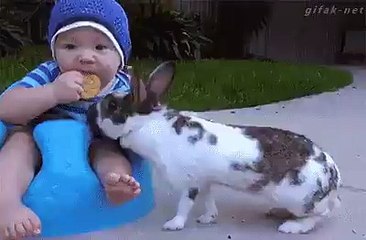 rabbit fun with baby