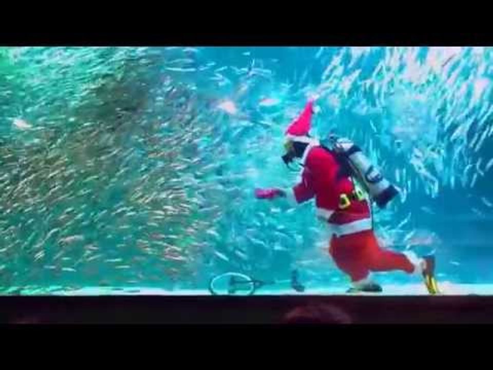 Coex Aquarium