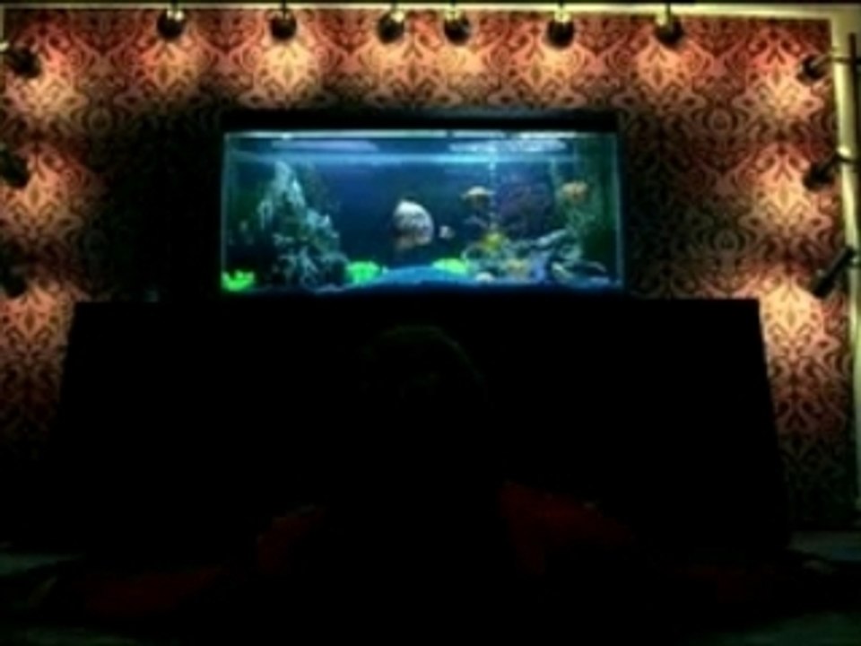 The chemical brothers - Salmon dance