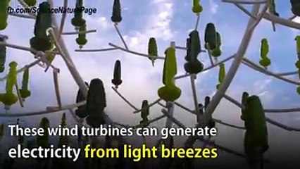 Here is a wind turbine for your own backyard.