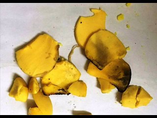 Lời minh oan cho hiện tượng "trứng gà cao su" gây nhiễu thông tin