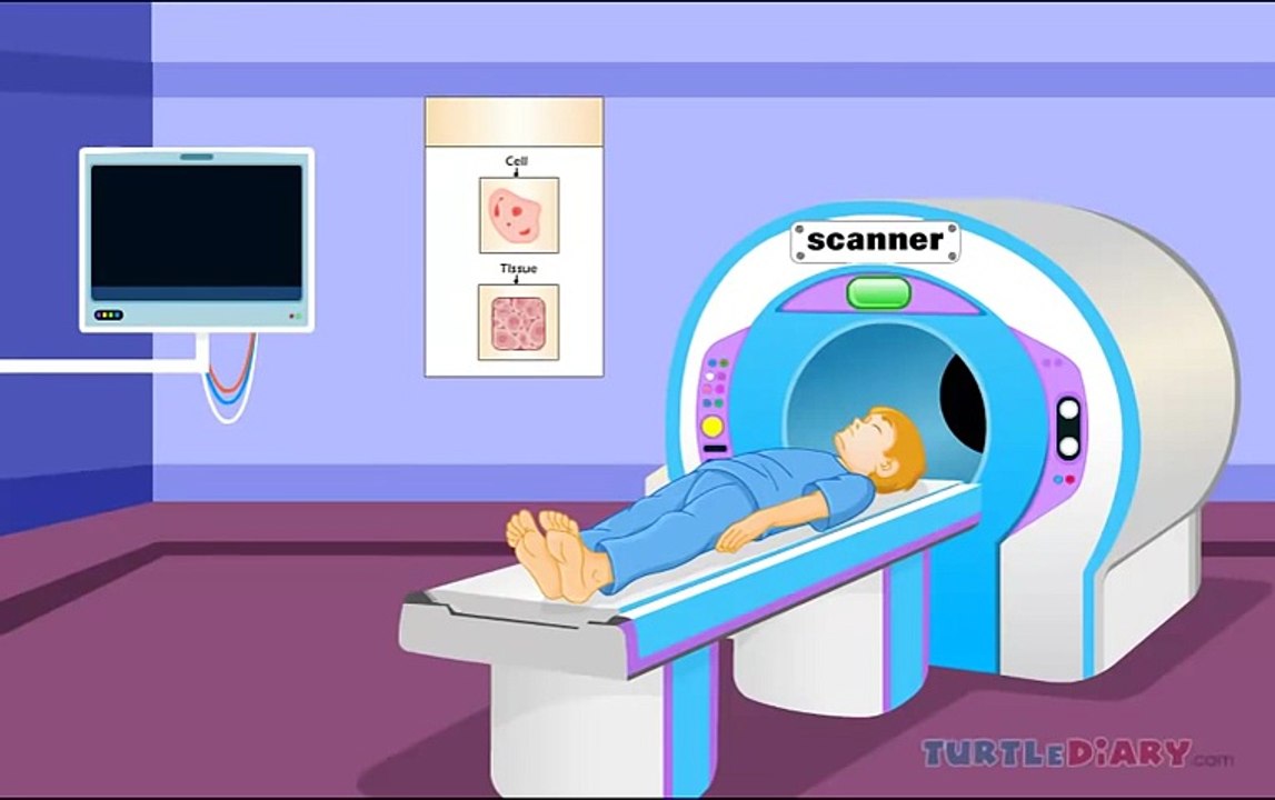 Human Body Lesson for Kids   Learn about the Human Body !