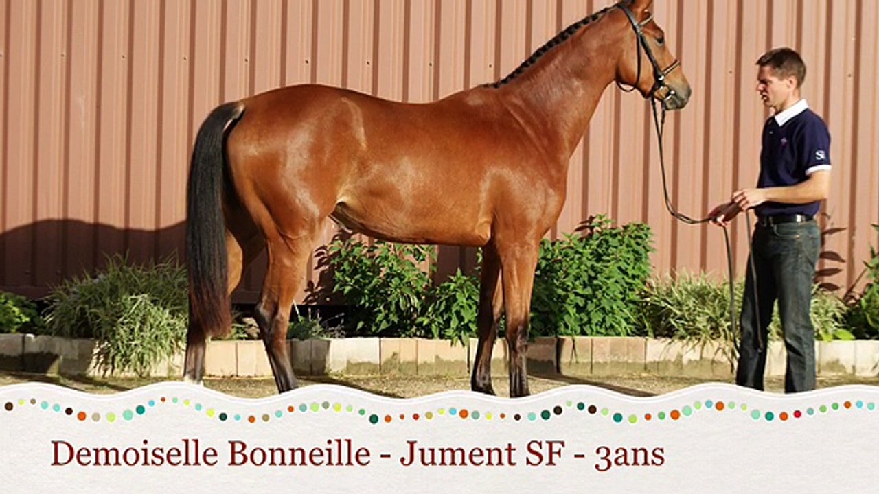 DEMOISELLE BONNEILLE