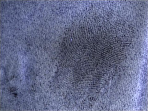 (Napkin paper test) MOVEED® Forensic Infrared NDT Fingerprint Detecting Instrument OR-GHS100