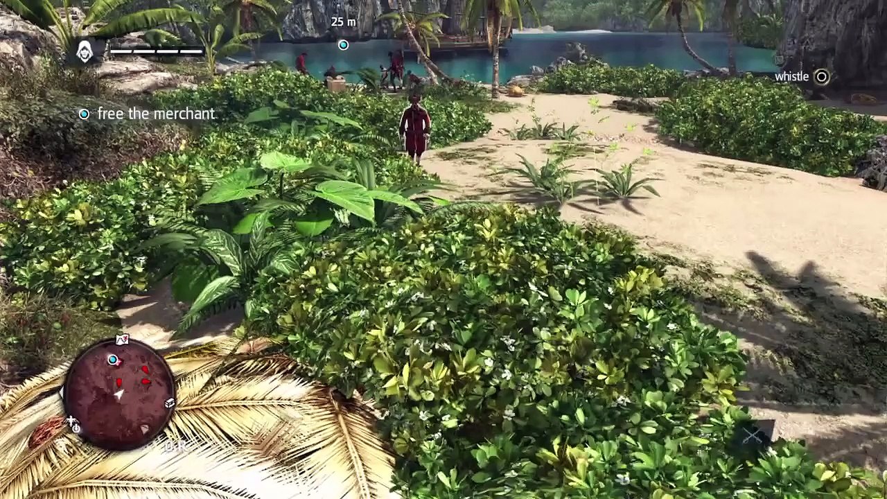 Assassin's Creed IV Black Flag Review