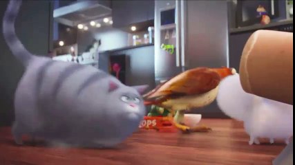 Best Funy Moment Life oF Pets