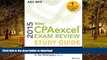 READ  Wiley CPAexcel Exam Review 2015 Study Guide July: Financial Accounting and Reporting (Wiley