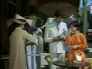 The Flying Nun 107 Polly Wants A Cracked Head