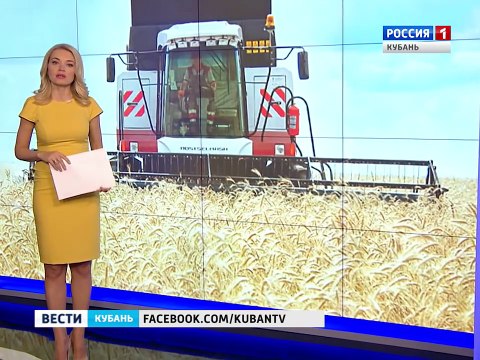 Комбайны Ростсельмаш помогают собирать урожай на Кубани (репортаж канала Россия 1)