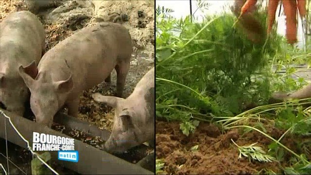 Huit jours de promotion des produits bio (Bourgogne Franche-Comté Matin)