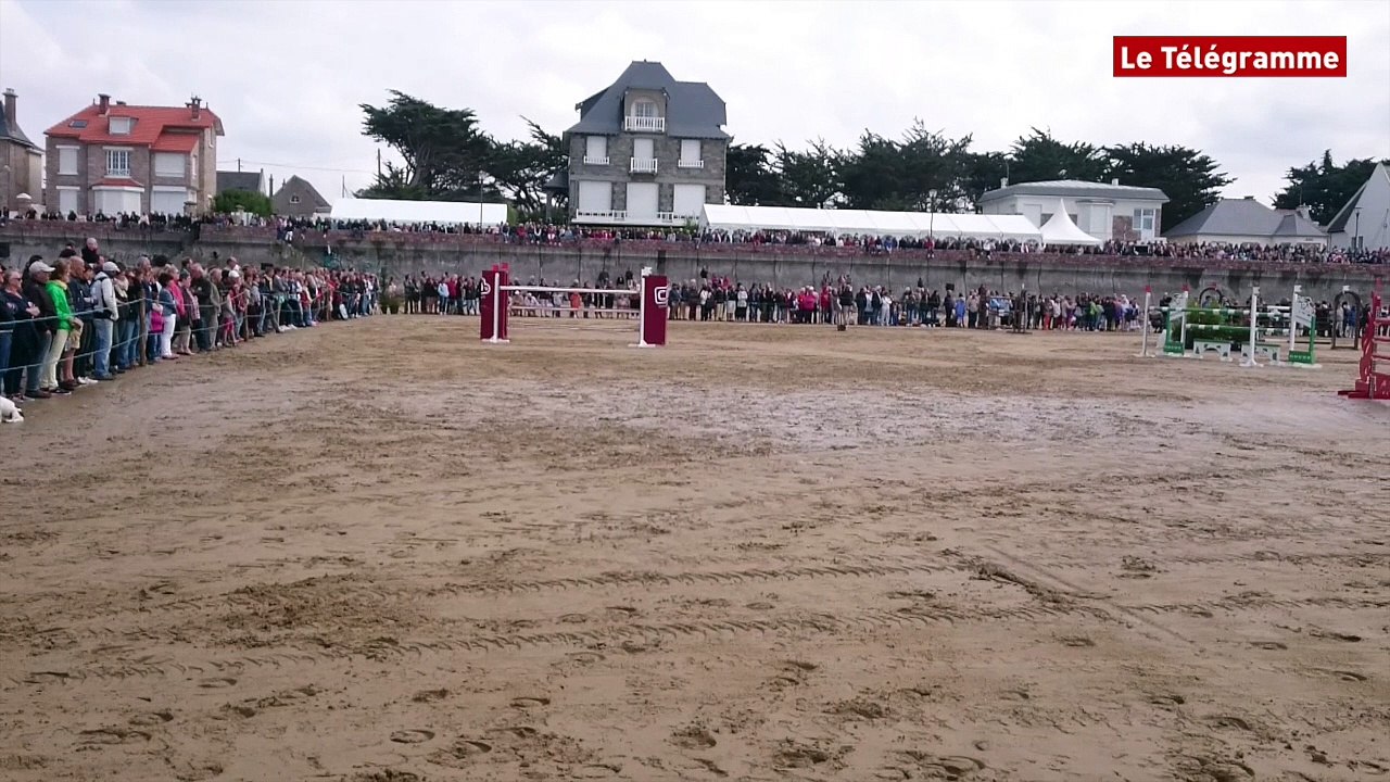 Lamballe. Les meilleurs représentants de la race du cheval breton au haras