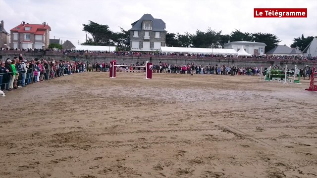 Lamballe. Les meilleurs représentants de la race du cheval breton au haras