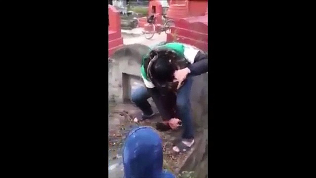 Snake in the Graveyard