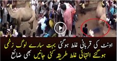 Qurbani goes wrong when camel run in crowd