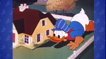 Funny Animals Cartoons - Donald Duck with Mickey mouse, Chip and Dale BEST COLLECTION 2016