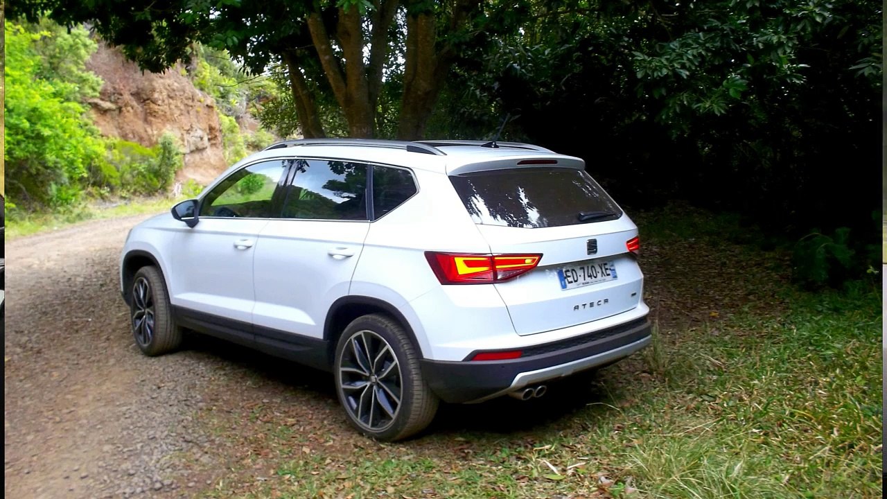 Seat Ateca 2.0TDi 190ch 4Drive DSG7 Xcellence