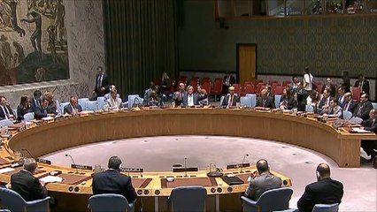 توتر أميركي روسي بمجلس الأمن بسبب غارة دير الزور