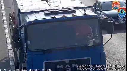 Un automobiliste sauve un chaton abandonné sur une route