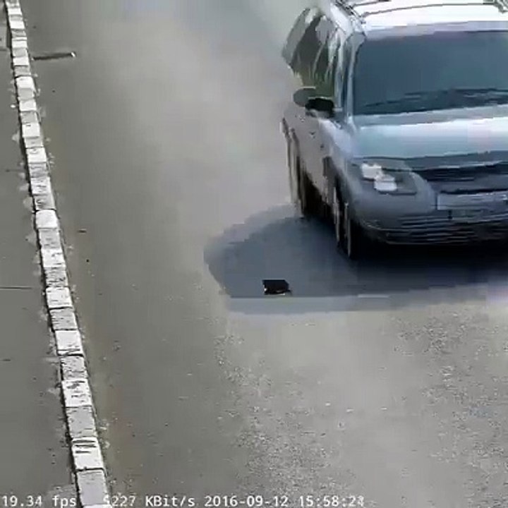 Homem coloca-se em perigo ao parar carro na auto-estrada para poder salvar gatinho.