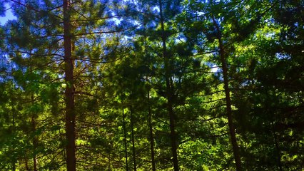 John Lennon - One Day At A Time (cover)