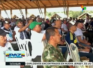 Avanza la paz en Colombia; FARC y gobierno hacen lo propio
