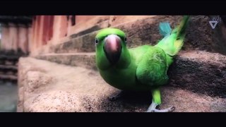 Kothanodi -  Trailer - FFAST #4