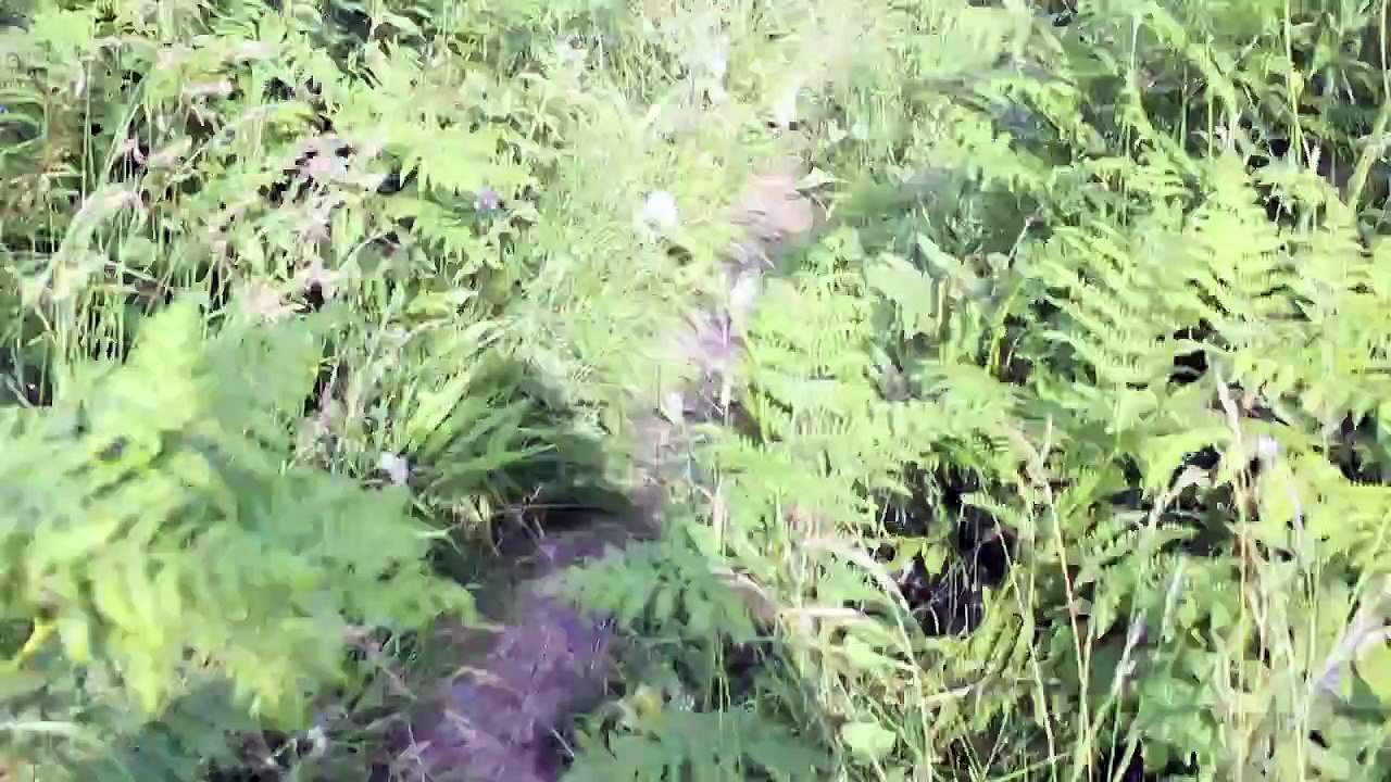 Spirit Sound North East England Folge 05 /Full Film/Complete Movie/Ganzer Film