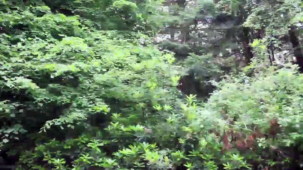 Spirit Sound North East England Folge 06 /Full Film/Complete Movie/Ganzer Film