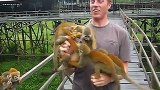 Never peel bananas near monkeys