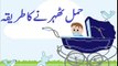 Pregnancy Tips | Urdu | Hamal Ka Tarika Pregnant Hone Ka 100% Method In 1 Month