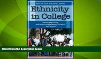 Big Deals  Ethnicity in College: Advancing Theory and Improving Diversity Practices on Campus