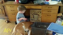 Boy Feeds Dog and Falls In Dog Dish