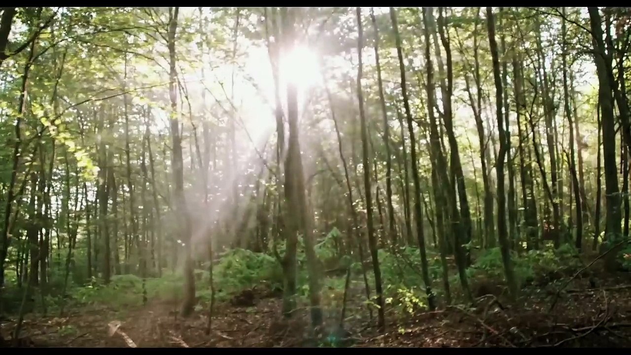 Blair Witch (2016) - Bande-annonce HD VOST