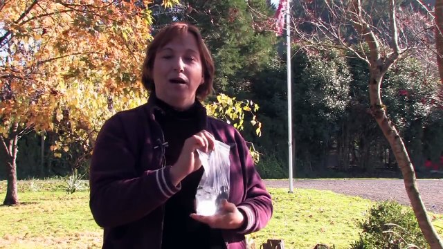 Si jamais vous voyez des sacs accrochés au-dessus de la porte de vos voisins, voici ce que ça veut dire!