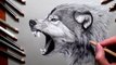 Speed Drawing of a Wolf How to Draw Time Lapse Art Video Colored Pencil Illustration Artwork Draw Realism