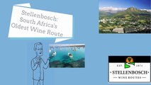 Stellenbosch: South Africa's Oldest Wine Route