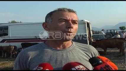 Shkodër, sëmundja e gjedhit, Kraja: Paraqet rrezik të lartë, masa urgjente