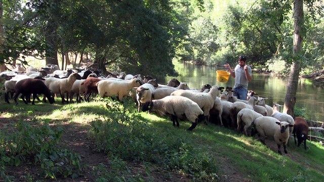 Terra Magazine Ferme de Clavisy à Noyers-sur-Serein (89)