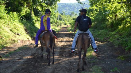 Alexis Martinez Pena: The Countryman - My Cuba