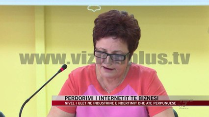 Përdorimi i internetit te biznesi - News, Lajme - Vizion Plus