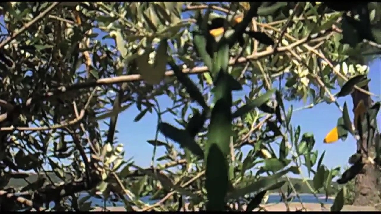 Spirit Sound Kroatien Folge 05 /Full Film/Complete Movie/Ganzer Film