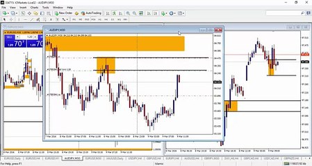 Fresh and Unfresh Supply Demand level