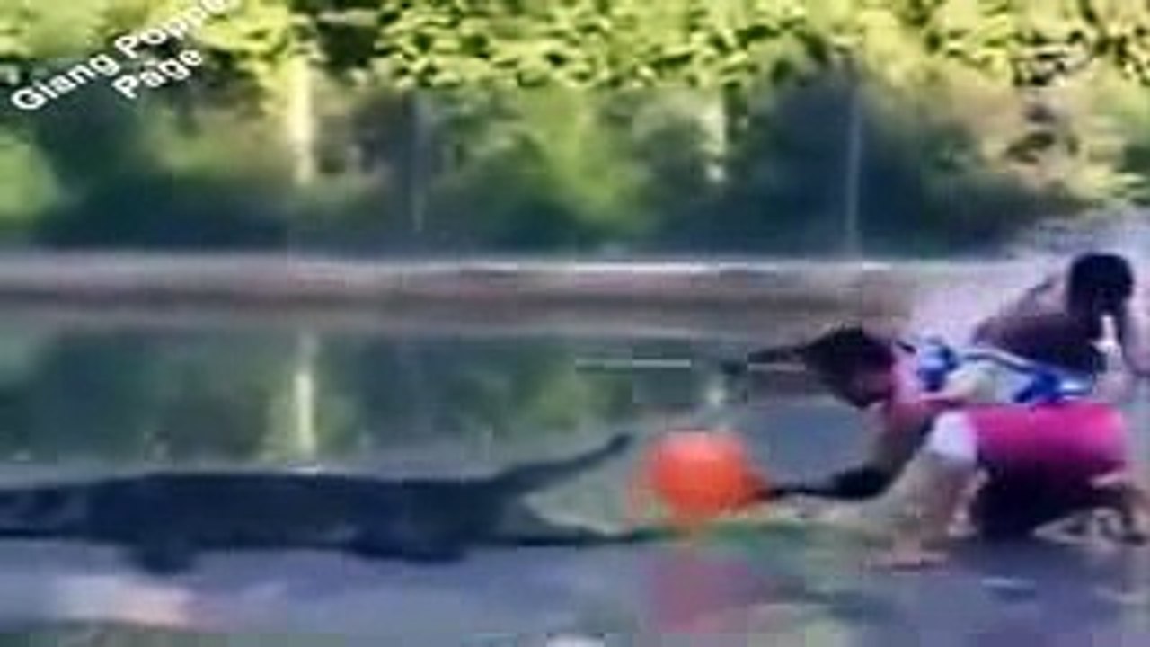 The video funny entertaining