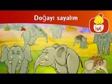 Doğayı sayalım - Filler, Luli TV