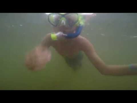GoPro Snorkeling Footage At The Beach - Late Summer Fun!