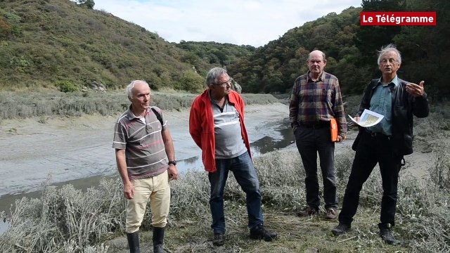 Hillion (22). Algues vertes : les associations montent au créneau